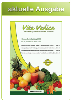 Katalog
